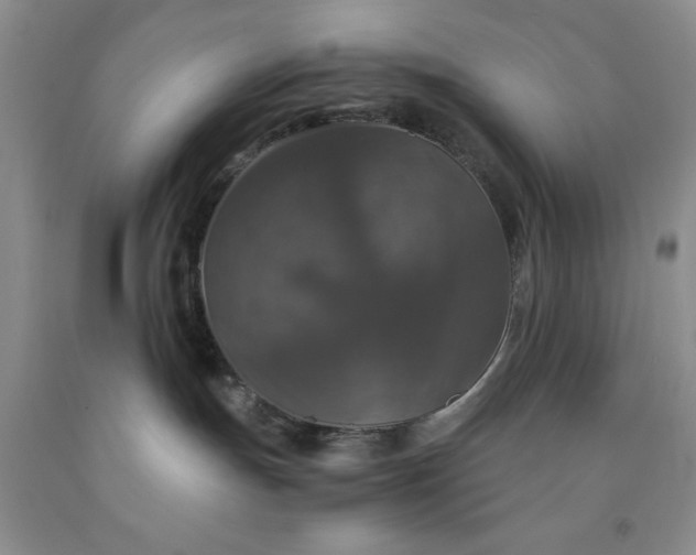 X0000091960191200709201352