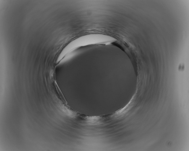 X0000091960192200709201352