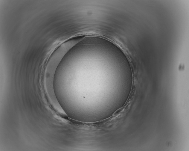 X0000091960193200709201351