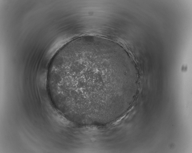 X0000091960194200709201351