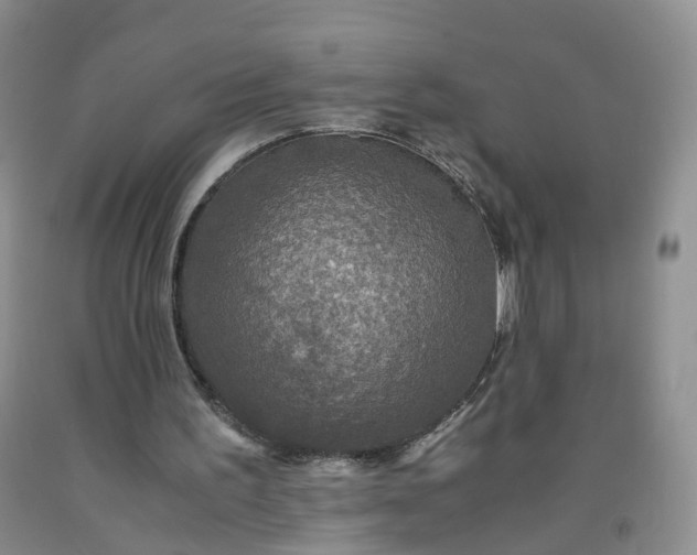 X0000091960195200709201351