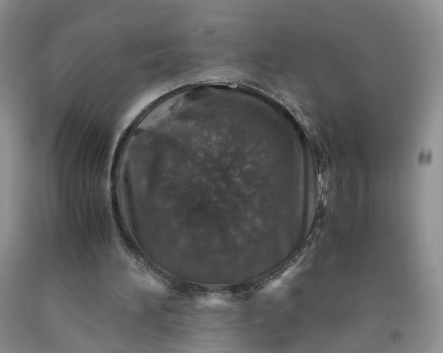 X0000091960196200709201351