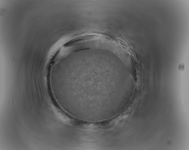 X0000091960197200709201351