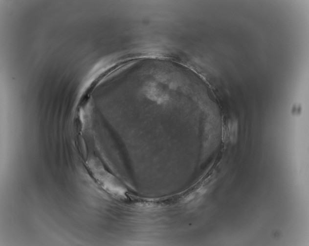 X0000091960198200709201351