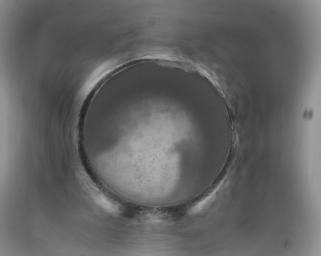 X0000091960199200709201351