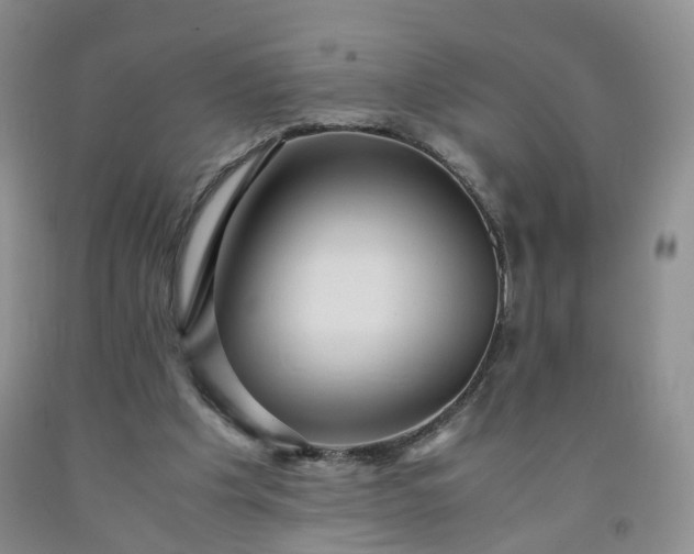 X0000091960201200709201351