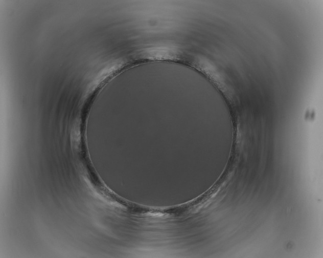 X0000091960202200709201351