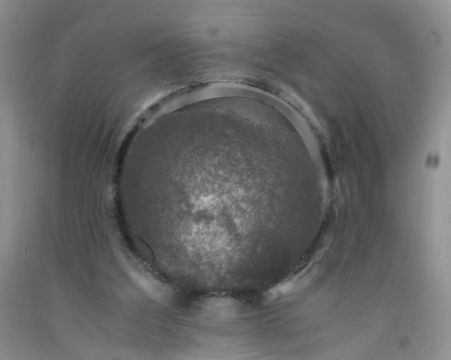 X0000091960203200709201351