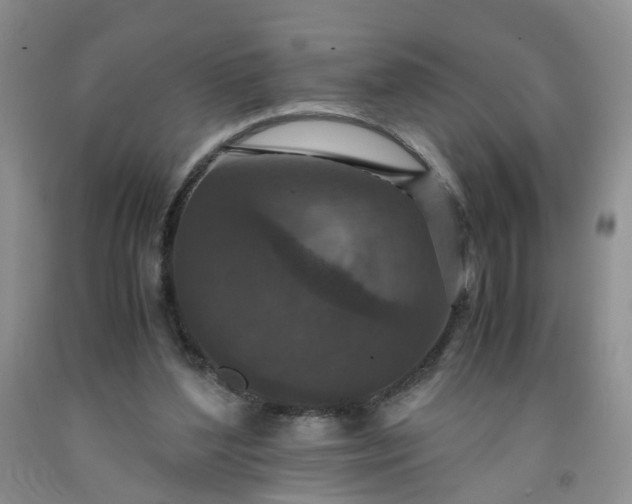 X0000091960204200709201351