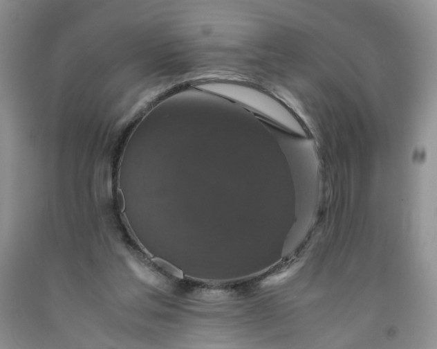 X0000091960205200709201351