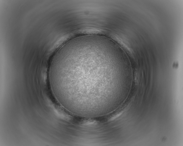 X0000091960206200709201351