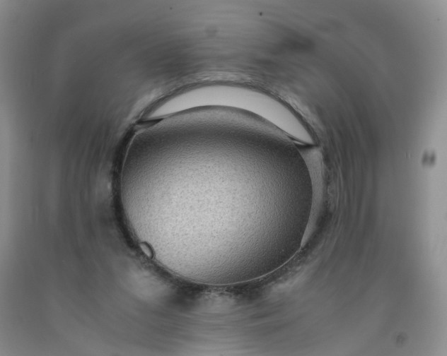 X0000091960207200709201351