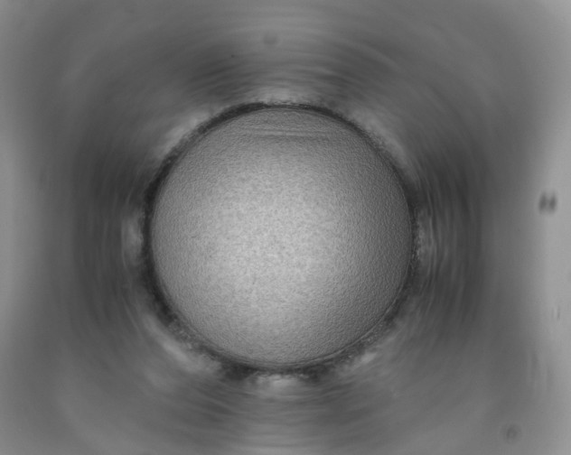 X0000091960208200709201351