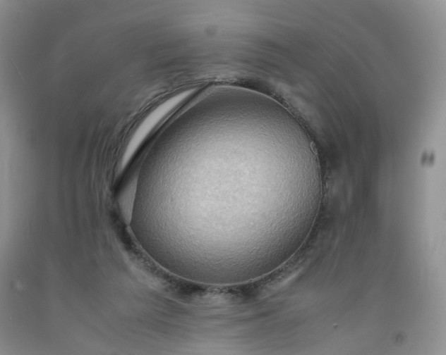 X0000091960209200709201351