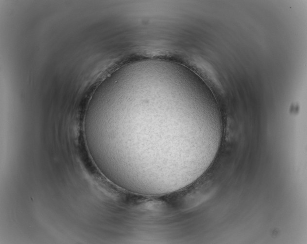 X0000091960210200709201351