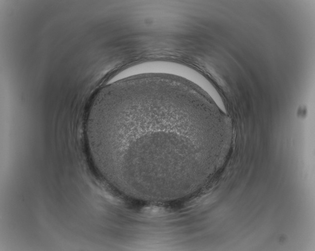 X0000091960211200709201351