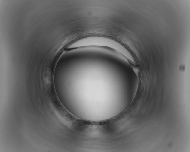 X0000091960212200709201351