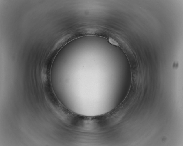 X0000091960216200709201351