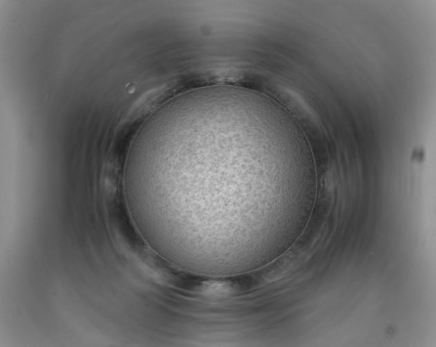 X0000091960218200709201351