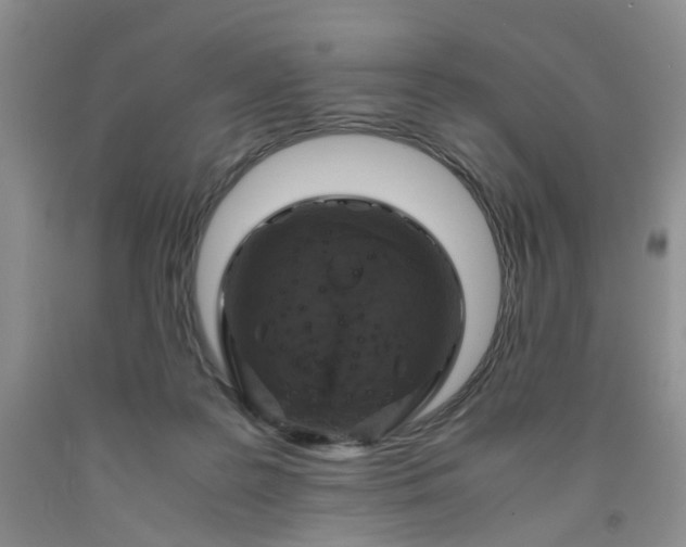 X0000091960219200709201351