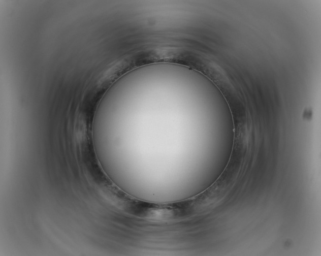 X0000091960220200709201350