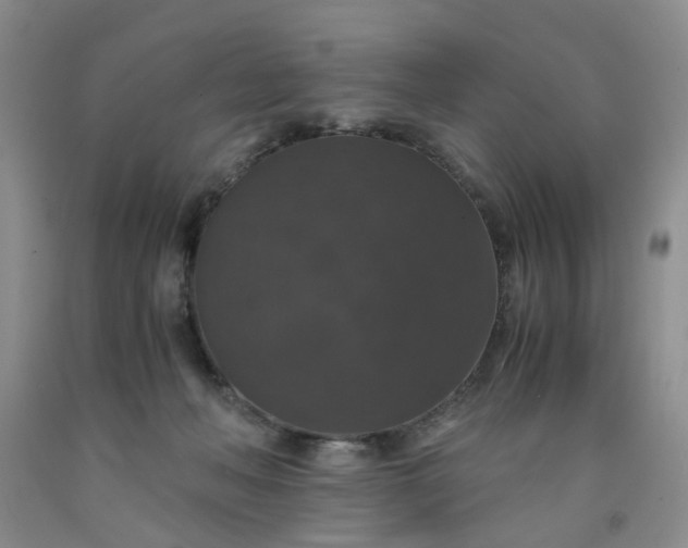 X0000091960222200709201350