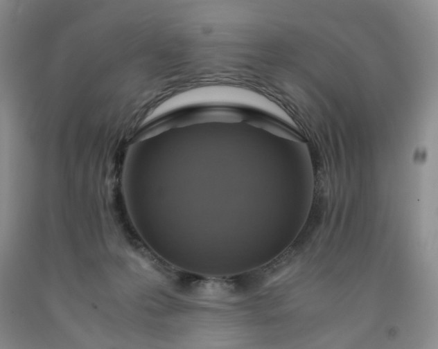 X0000091960223200709201350