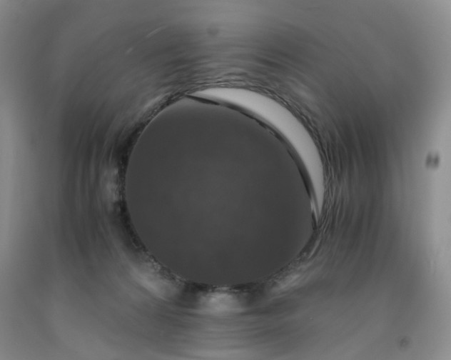 X0000091960224200709201350