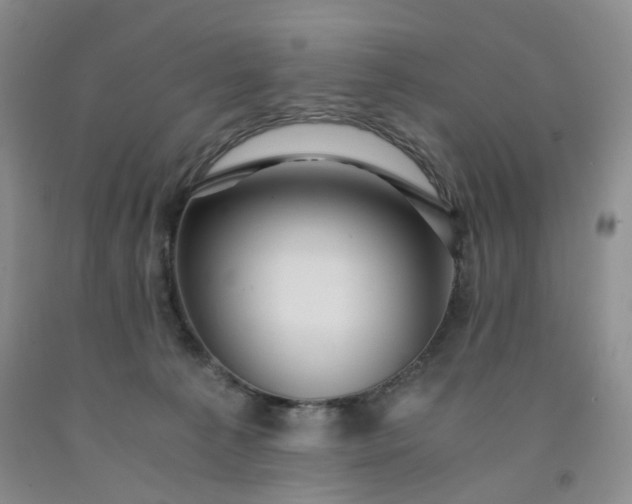 X0000091960225200709201350