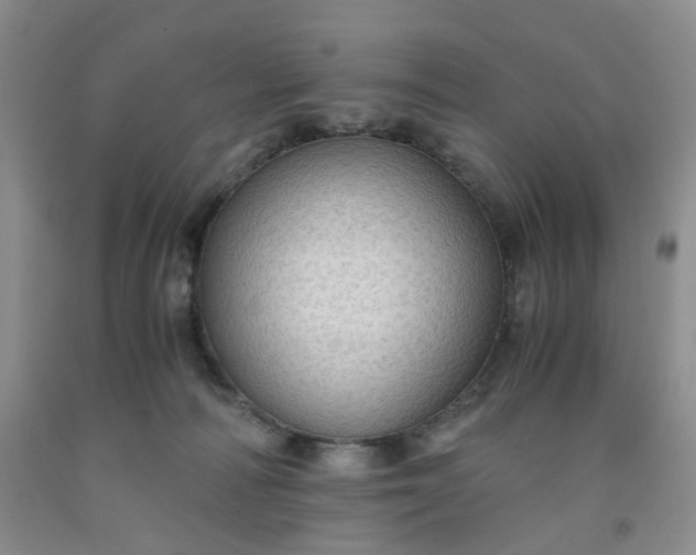 X0000091960226200709201350