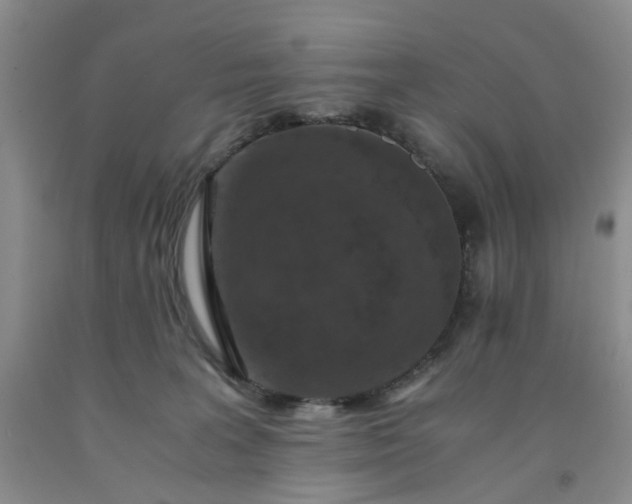 X0000091960227200709201350