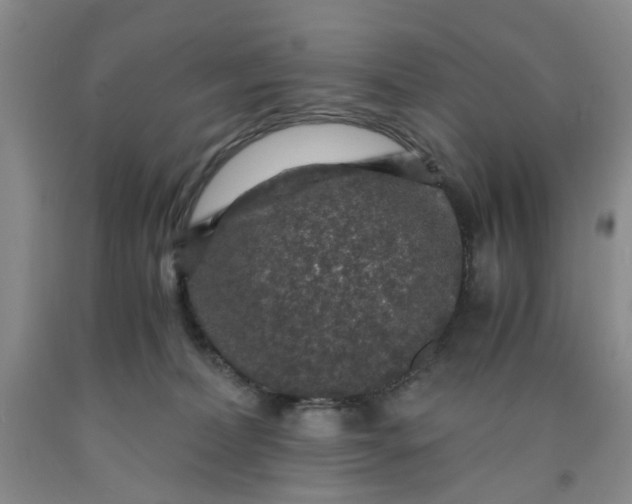 X0000091960228200709201350