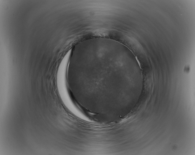 X0000091960229200709201350