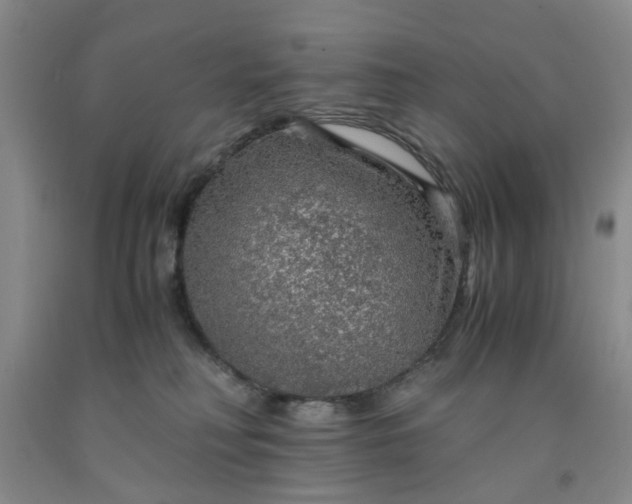 X0000091960230200709201350