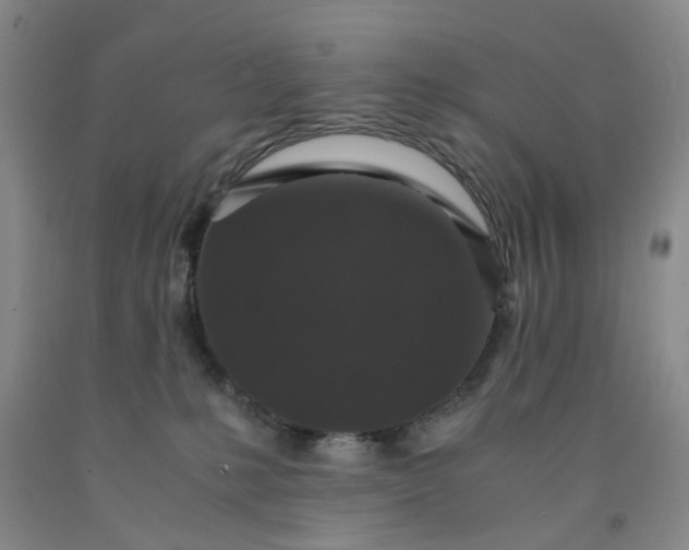 X0000091960231200709201350