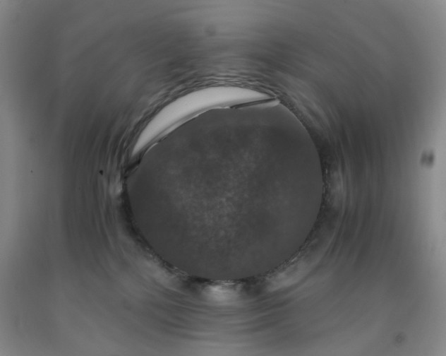 X0000091960232200709201350