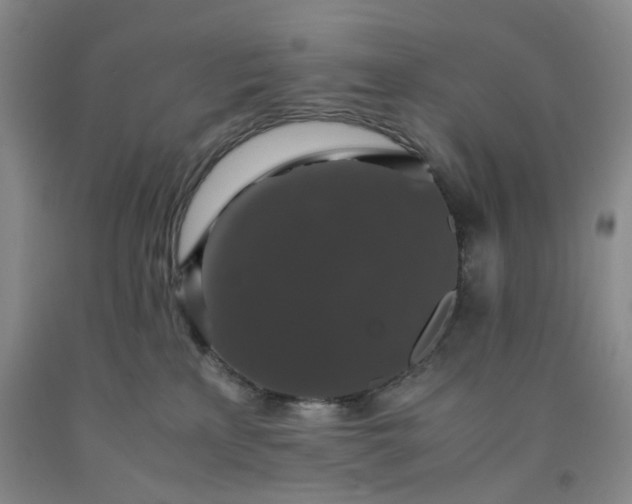 X0000091960233200709201350