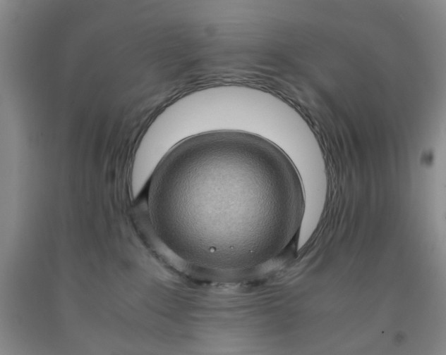 X0000091960235200709201350