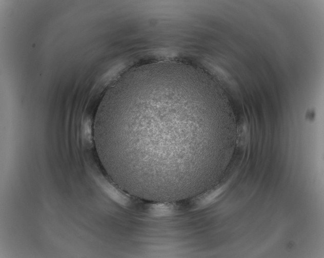 X0000091960238200709201350