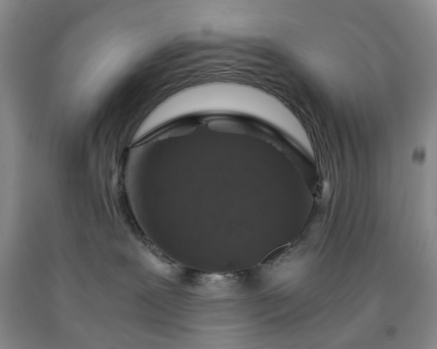 X0000091960239200709201350