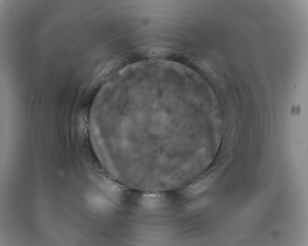 X0000091960240200709201350