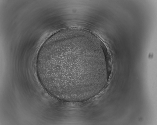 X0000091960241200709201349