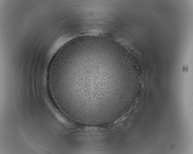 X0000091960242200709201349