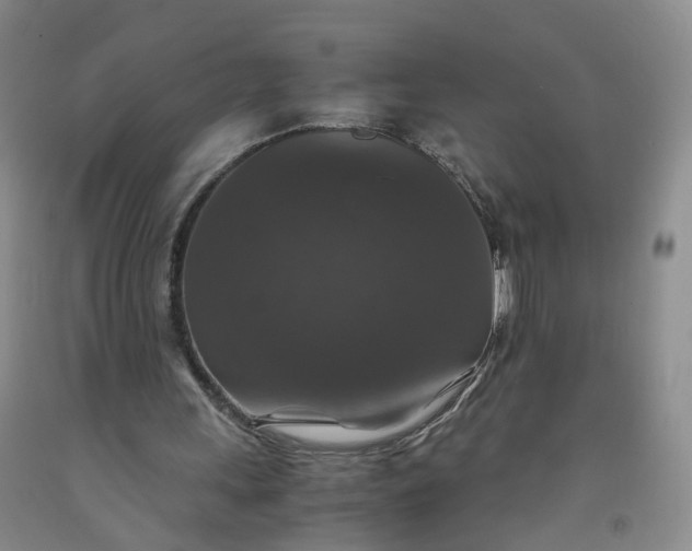 X0000091960243200709201349