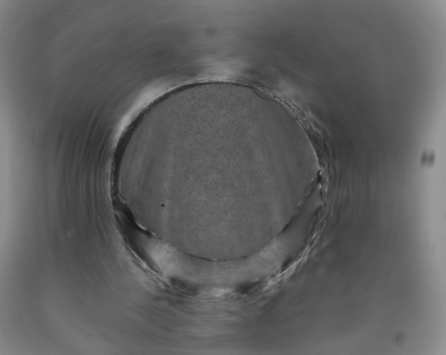 X0000091960244200709201350