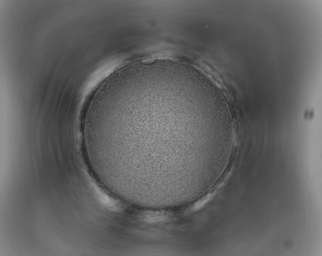 X0000091960245200709201350