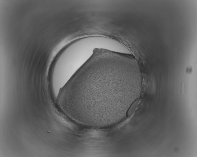 X0000091960246200709201350