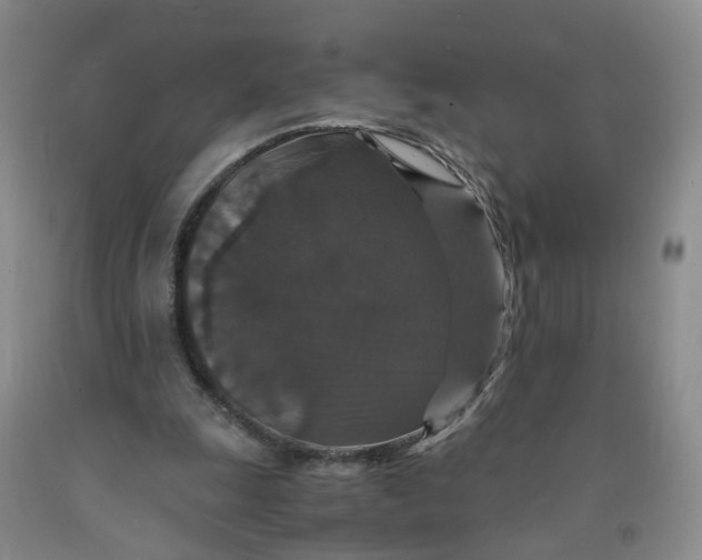 X0000091960247200709201350