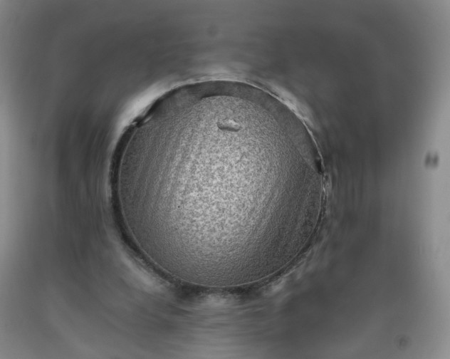 X0000091960248200709201350