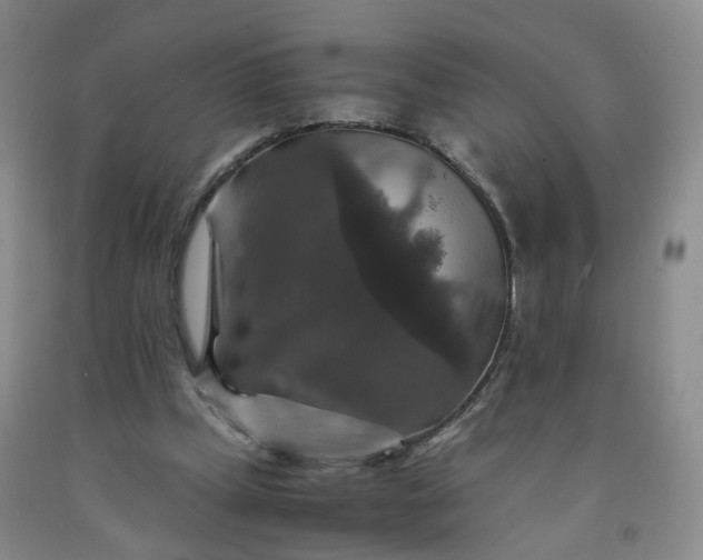 X0000091960249200709201350